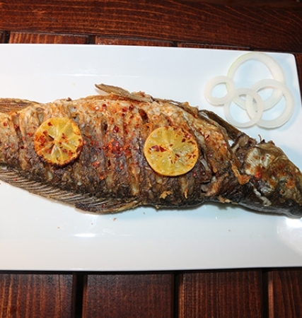 Sarı Balık